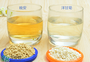 美林菊花晶一天喝幾次？美林菊花晶一天喝多少？