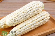 糯玉米有哪些營養(yǎng)？糯玉米可以減肥嗎