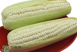 糯玉米怎么保存時間長？新鮮的糯玉米如何保存