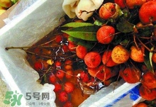 荔枝為什么要用藥水泡？荔枝藥水浸泡是否安全？