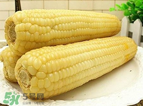 糯玉米有哪些營養(yǎng)？糯玉米可以減肥嗎