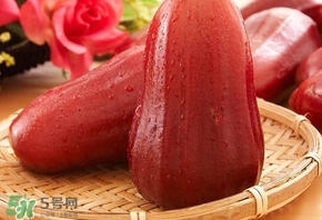 蓮霧什么季節(jié)吃最好？什么品種的蓮霧最好吃
