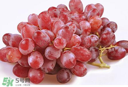 提子為什么會澀？提子澀怎么辦是沒熟嗎？