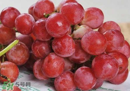 提子為什么會澀？提子澀怎么辦是沒熟嗎？
