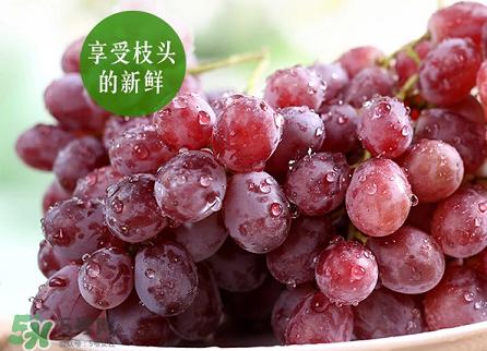 提子為什么會澀？提子澀怎么辦是沒熟嗎？
