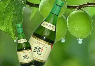 青梅酒泡多久可以喝？青梅酒好喝嗎？