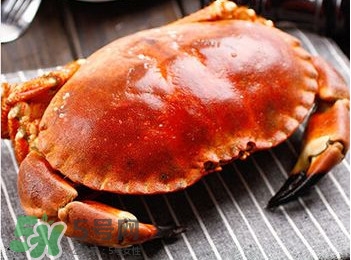 面包蟹好吃還是梭子蟹？面包蟹和梭子蟹的區(qū)別