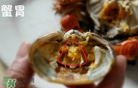 面包蟹是哪里產(chǎn)的？面包蟹哪里不能吃圖解