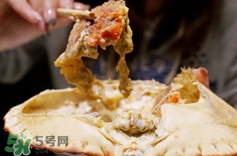 面包蟹什么季節(jié)吃最好？面包蟹什么時(shí)候最有黃