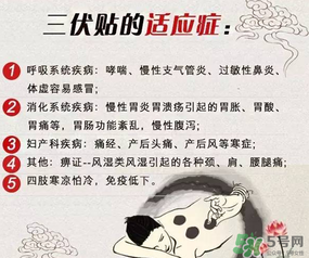 三伏貼能治什么?。咳N能治哪些??？