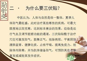 三伏貼能治什么??？三伏貼能治哪些??？