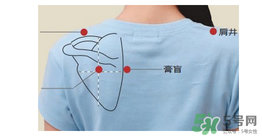 三伏貼貼在什么位置？三伏貼貼哪里？