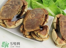 面包蟹為什么叫面包蟹？面包蟹為什么都是母蟹