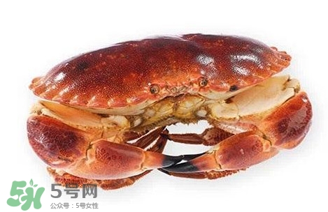 怎么判斷面包蟹是否新鮮？怎樣鑒別面包蟹的質(zhì)量好壞