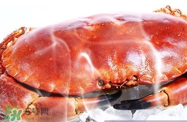 速凍面包蟹如何處理？活面包蟹怎么處理清洗
