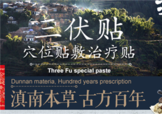 三伏貼貼在什么位置？三伏貼貼哪里？