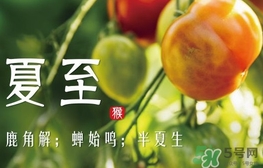 夏至是什么意思？夏至的習(xí)俗有哪些