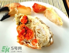 面包蟹是黃道蟹嗎？黃道蟹和面包蟹一樣嗎