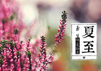 夏至是什么意思？夏至的習(xí)俗有哪些