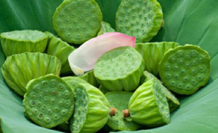 新鮮蓮子什么時(shí)候有？新鮮蓮子幾月有？