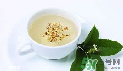 葛根茶多少錢一盒？2017葛根茶價格