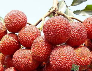 荔枝吃多了會(huì)胖嗎？吃荔枝會(huì)長(zhǎng)胖嗎？