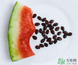 西瓜籽怎么種植？西瓜籽能種出西瓜嗎？