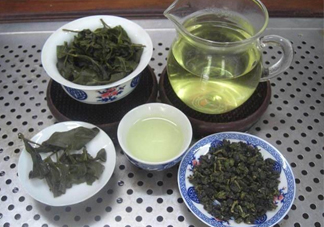 杜仲茶哪些人不適宜喝？杜仲茶飲用注意事項