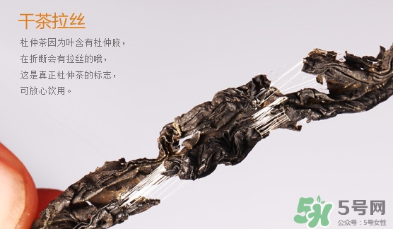 杜仲茶每天喝多少合適？杜仲茶喝多有什么不好