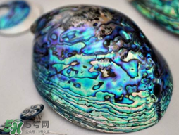 nike air foamposite one abalone鮑魚(yú)噴多少錢(qián)？