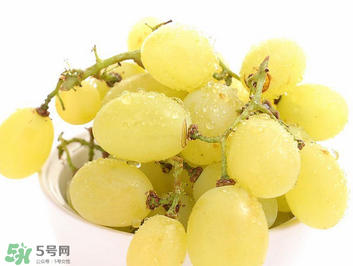 馬奶葡萄什么時(shí)候上市？馬奶葡萄2017上市時(shí)間