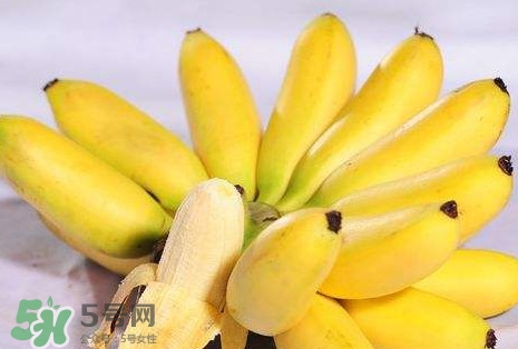 芭蕉和香蕉哪個(gè)貴？芭蕉和香蕉哪個(gè)好