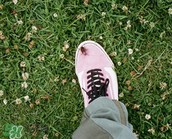 stussy與vans2017春夏系列聯(lián)名鞋子什么時候發(fā)售？