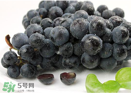 無籽葡萄孕婦能不能吃？無籽葡萄和葡萄的區(qū)別