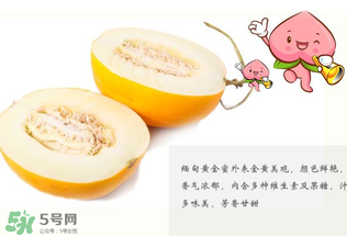 黃金瓜熱量高嗎？黃金瓜會胖嗎？