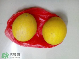 黃金瓜什么時候成熟？黃金瓜什么時候吃？
