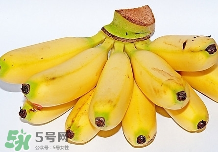 芭蕉熱量高嗎？芭蕉可以減肥嗎