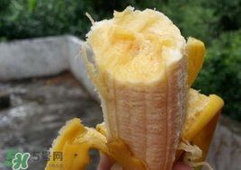 芭蕉是熱性還是涼性？芭蕉是熱性還是寒性？