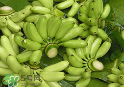 芭蕉如何保存時(shí)間久？青芭蕉摘下來怎么保存