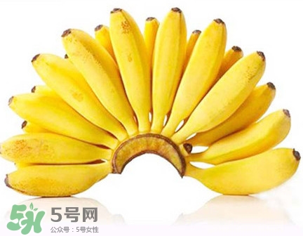 芭蕉和香蕉哪個(gè)貴？芭蕉和香蕉哪個(gè)好