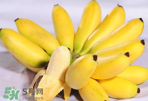 芭蕉是熱性還是涼性？芭蕉是熱性還是寒性？