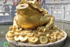 蟾蜍能活多久？蟾蜍可以活多少年