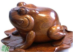 蟾蜍有什么寓意？為什么蟾蜍被寓意為招財(cái)？