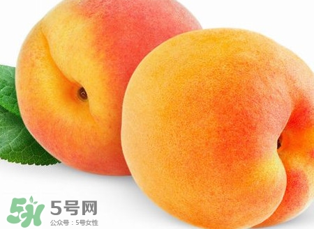 芭蕉和桃子能一起吃嗎？芭蕉可以和桃子一起吃嗎
