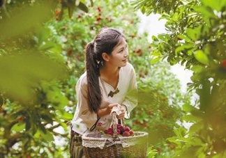 仙居楊梅在哪里？仙居楊梅哪里最好？