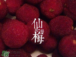 仙居楊梅多少錢一斤？仙居楊梅多少錢一斤2017？