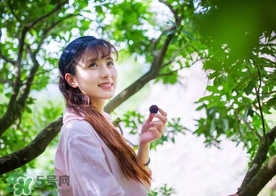 仙居楊梅在哪里？仙居楊梅哪里最好？