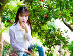 仙居楊梅在哪里？仙居楊梅哪里最好？