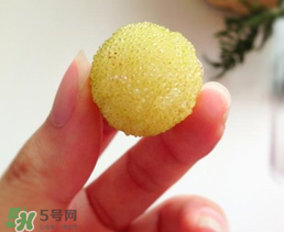 白楊梅多少錢一斤？白楊梅產(chǎn)地