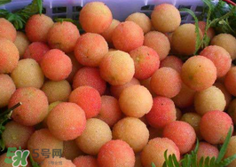 白楊梅可以泡酒嗎？白楊梅泡酒有什么功效？